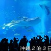 沖縄2泊3日の旅【３終】美ら海水族館・古宇利ビーチ・今帰仁城・座喜味城