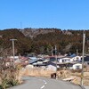 田舎の人の素朴さにふれて🍀🌷🌸