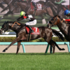 日曜競馬　展望