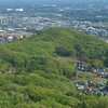 鐘撞堂山　ヤマツツジ