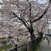 3月のまとめ　（2022-W09〜W12）