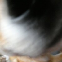 整形って　良し悪し　？　40歳からは…☆彡　美への追及は　底なしなのだ～～🎵