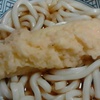 イカ天ぷら　うどん