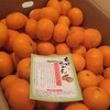 ふるさと納税で、和歌山県広川町から『有田みかん 10kg』が届きました！