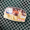 157食目　アイスまるごと生チョコ包み バニラ