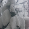 大雪〜市電が止まった