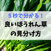 ５秒で分かる良いほうれん草の見分け方