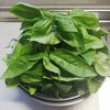 そろそろバジルも終わり