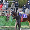 ＜12.26　中山競馬場　その２＞