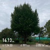 秋の香り