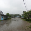 生憎の雨でしたが・・・