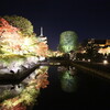 　東寺の夜間拝観ライトアップ