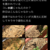 伴野優子さんに対する誤解？
