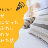 【雑記】洗濯機で洗って大失敗！“中綿がダマ状になってしまった枕“は復活できるのか試してみました