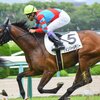 指名馬情報:牡馬第8位