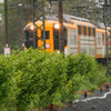 🚞近鉄大好き雨のビスタ重連