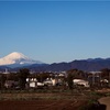 初冬の富士山（神奈川県藤沢市北部）