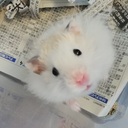 ☆人生マニュアル化計画☆