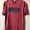 L.L bean T シャツ