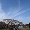 2023/03/31(金) 年に一度の福島桜ツアー