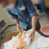 【両親学級：沐浴講座】初沐浴にあたふた💦育メンなら絶対行くべき！
