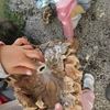 一足お先に2学期です