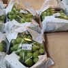 ｢山田錦の館｣でブドウ争奪戦🍇
