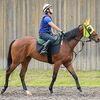 ２１日に函館競馬場（中内田厩舎）へ帰厩しています。☆アストロフィライト