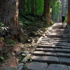 朝の羽黒山石段を登る