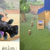 あつまれ どうぶつの森 ：キューブ島プレイ記録＃シーラカンス！タヌキ商店、はしご、リアクション等 2020年3月22日
