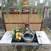 吉野川市　鴨島町　初詣　鴨島八幡神社(*´▽｀*)　2022年1月3日（火）
