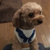 今日も元気に