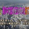 極寒の山・網の中で震えて泣いていた捨て猫を保護