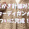 かぎ編みカーディガン、ついに完成！