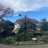 フランス山  横浜市中区新山下