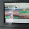 色違いオニスズメ