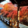 秘密の紅葉スポット②：宝筐院（ほうきょういん）の魅力とアクセス方法