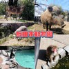 入園無料【 飯田市動物園 】＠飯田市｜無料なのに愉快なアニマル勢揃い♪