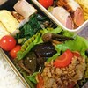 お野菜多めお肉少な目ヘルシー？弁当