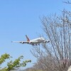 成田のさくらの山と航空科学博物館に行った！