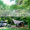 初夏の光と森林浴キャンプ