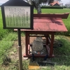 金売り吉次の墓を見つけた