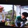 NHKのEテレ「趣味の園芸出演・・・斑入りテイカカズラののぞき窓