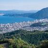 山や湿地で花散策