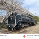 「D５１ ８２２」と桜