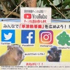 【草津熱帯圏】熱帯園　草津観光のチン名所　珍しい動植物園　危機的状況？