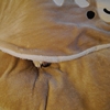 鼻っ先、だよ