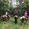 長野週末旅　⑤桃と乗馬の山梨県