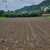 7月長い梅雨の日