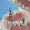 歯と内臓が関連していることはご存知ですか？